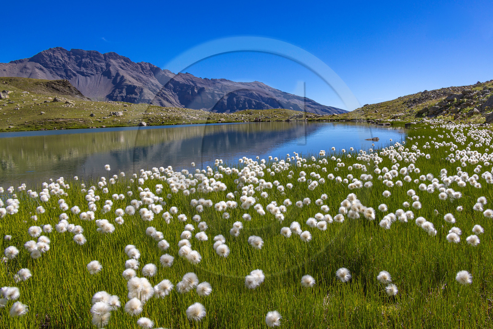 Lac Palluel Lac Palluel