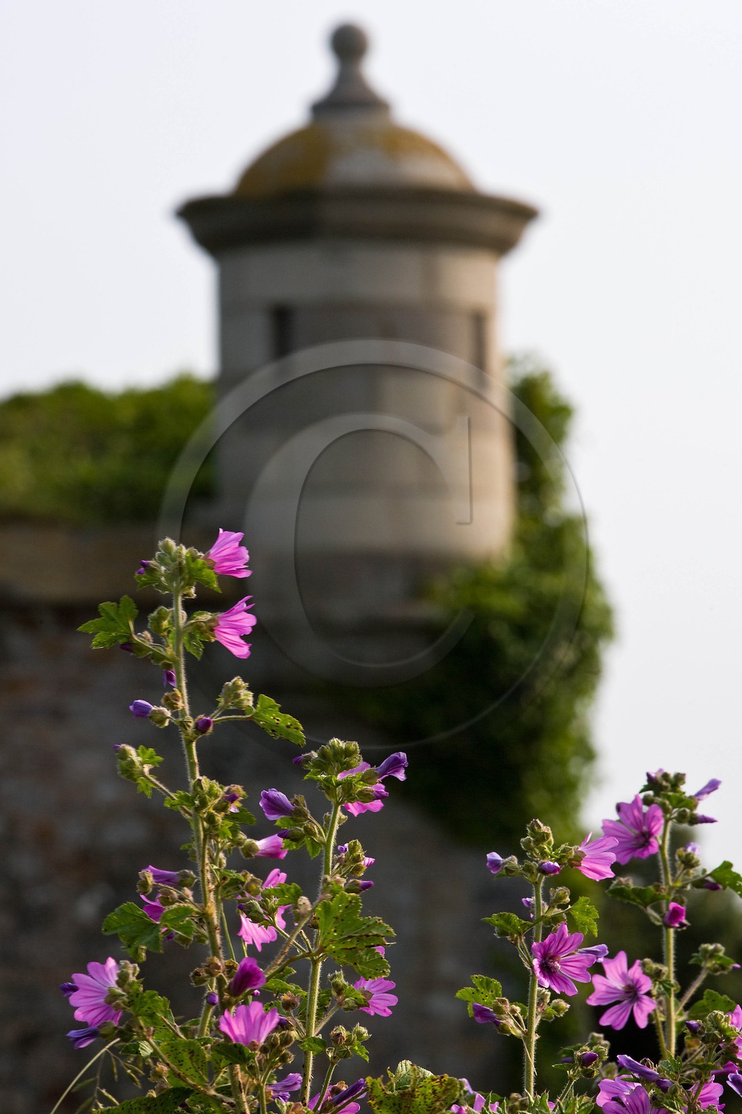 Saint-Vaast-la-Hougue