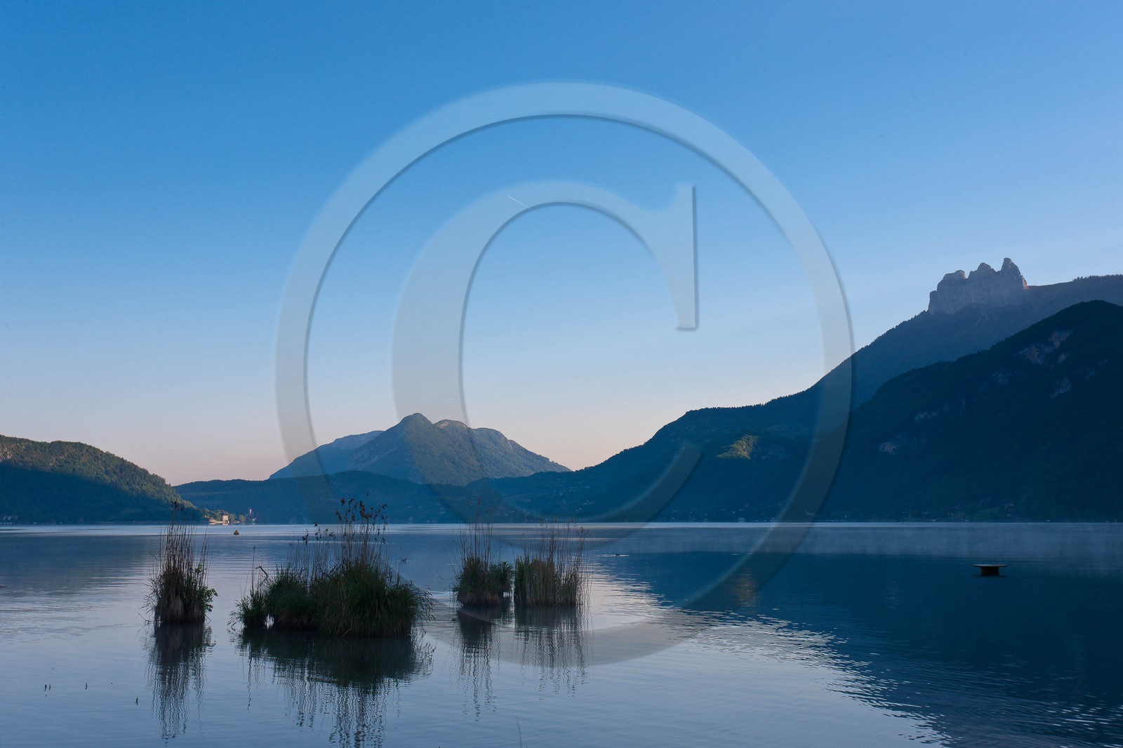 Réserve naturelle du Bout du Lac d'Annecy, roselière