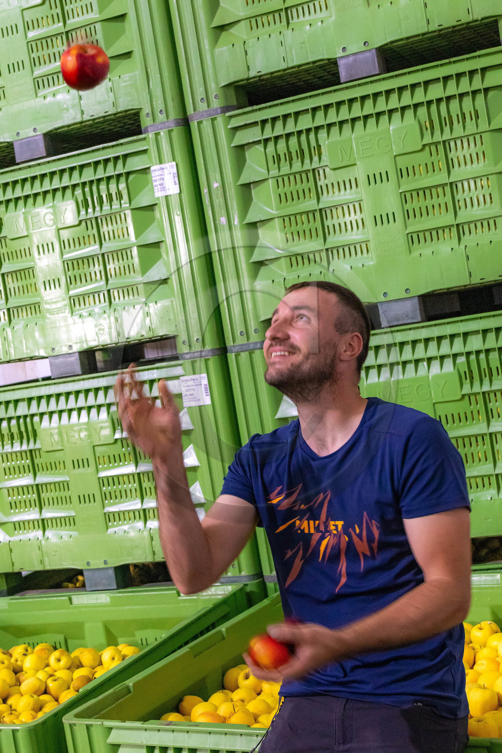 Melve, Gaec de la Maurelle, Adrien Megy Melve, Gaec de la Maurelle, Adrien Megy