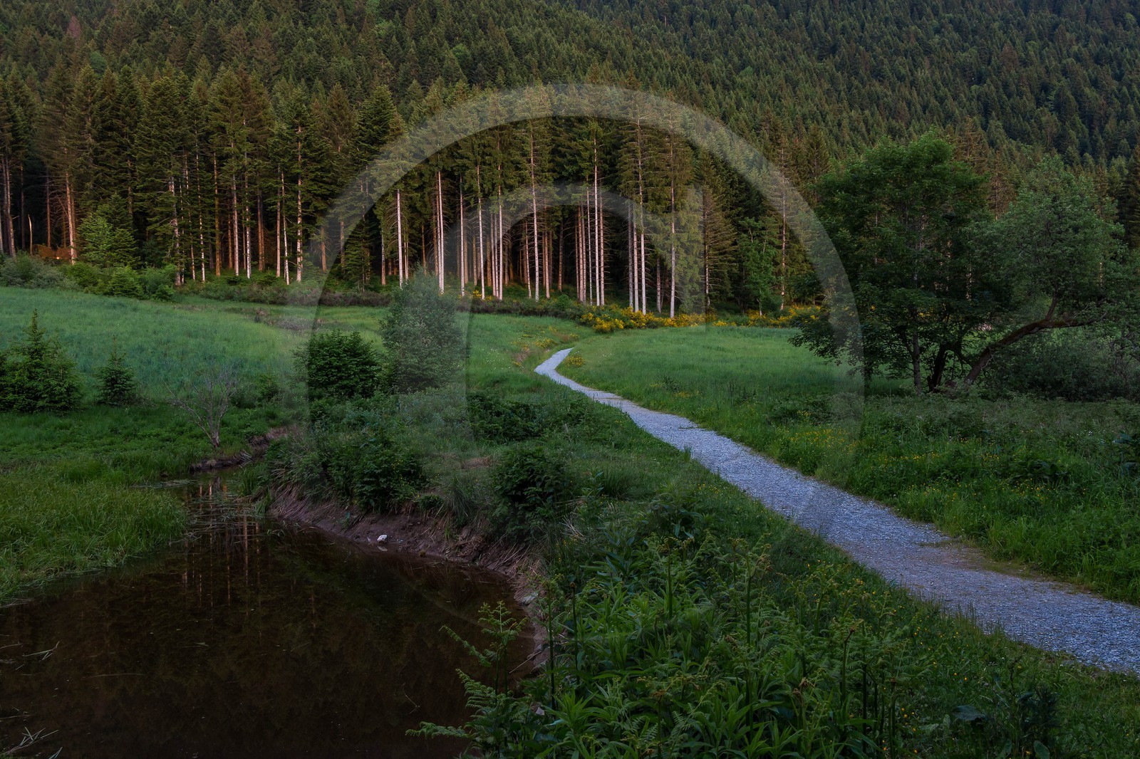 ENS de l'Isère, Marais des Seiglières