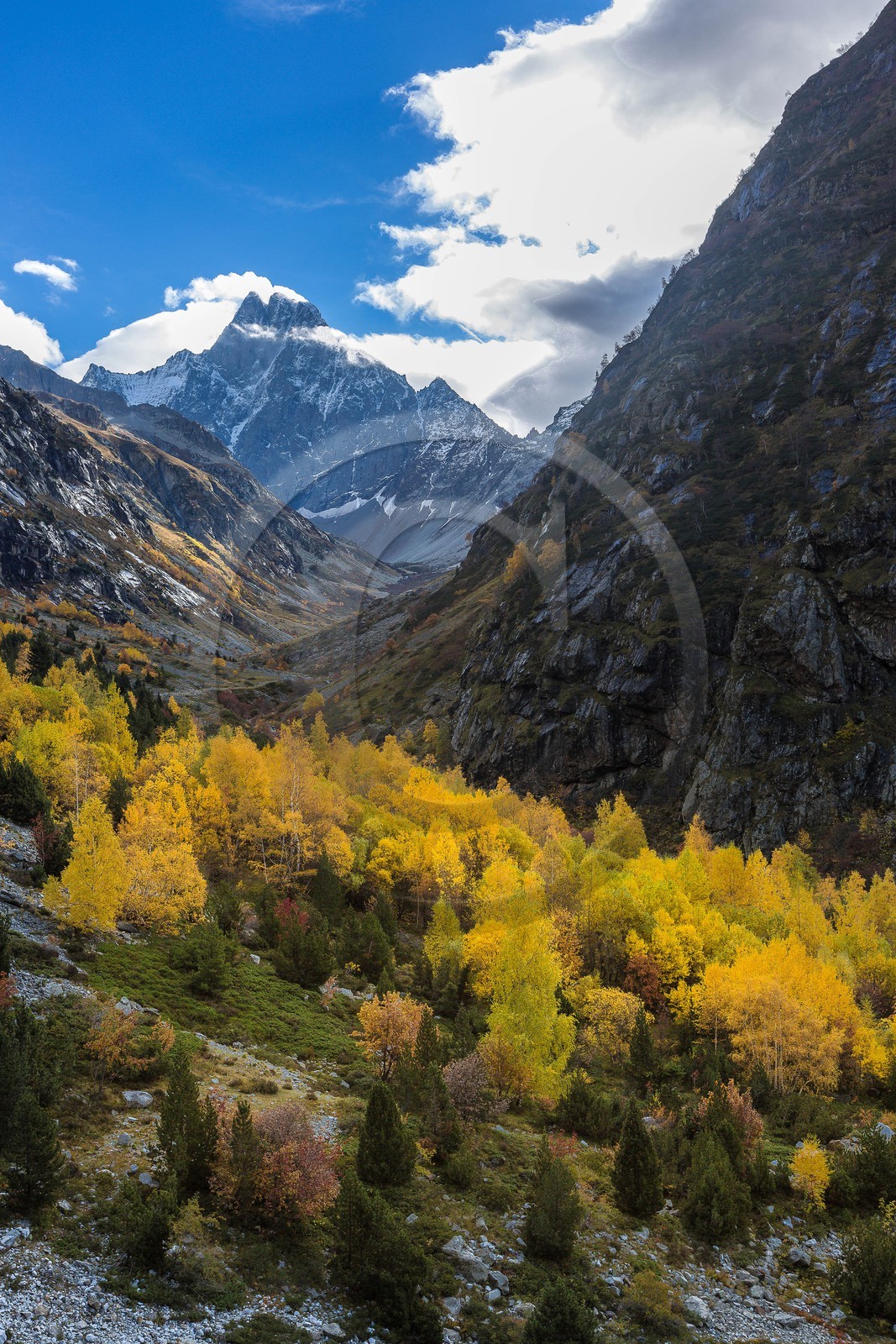Vallée de la Bonne, Le Désert, L'Olan