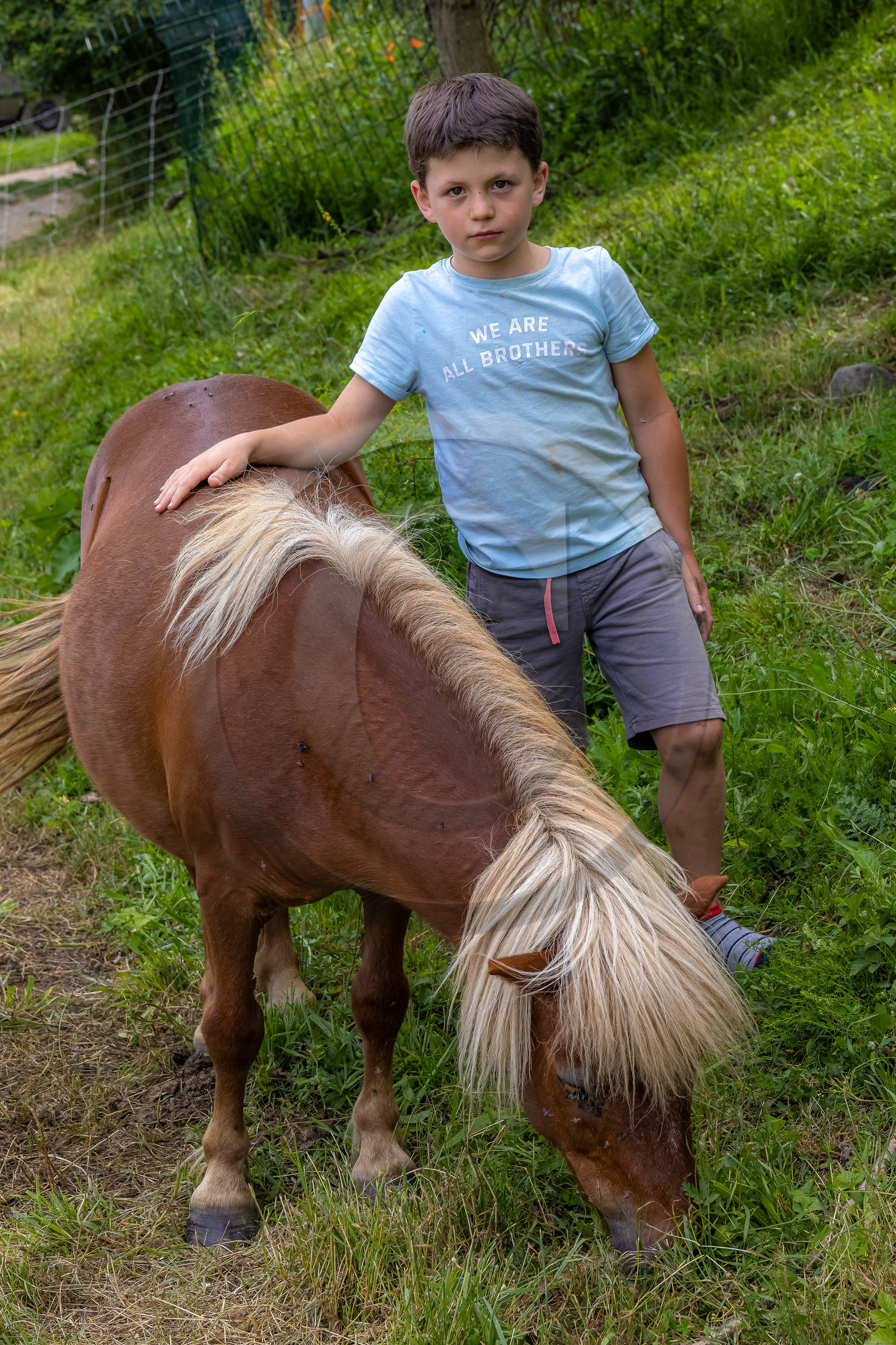 Nibles, Camping à la ferme Agri-Yourte