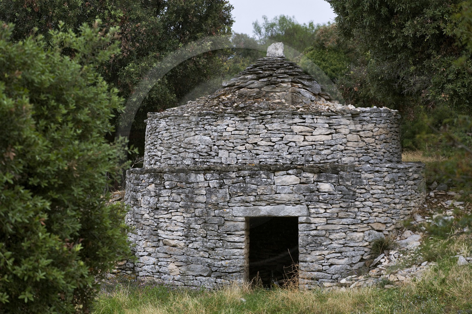 Bunja de Brac