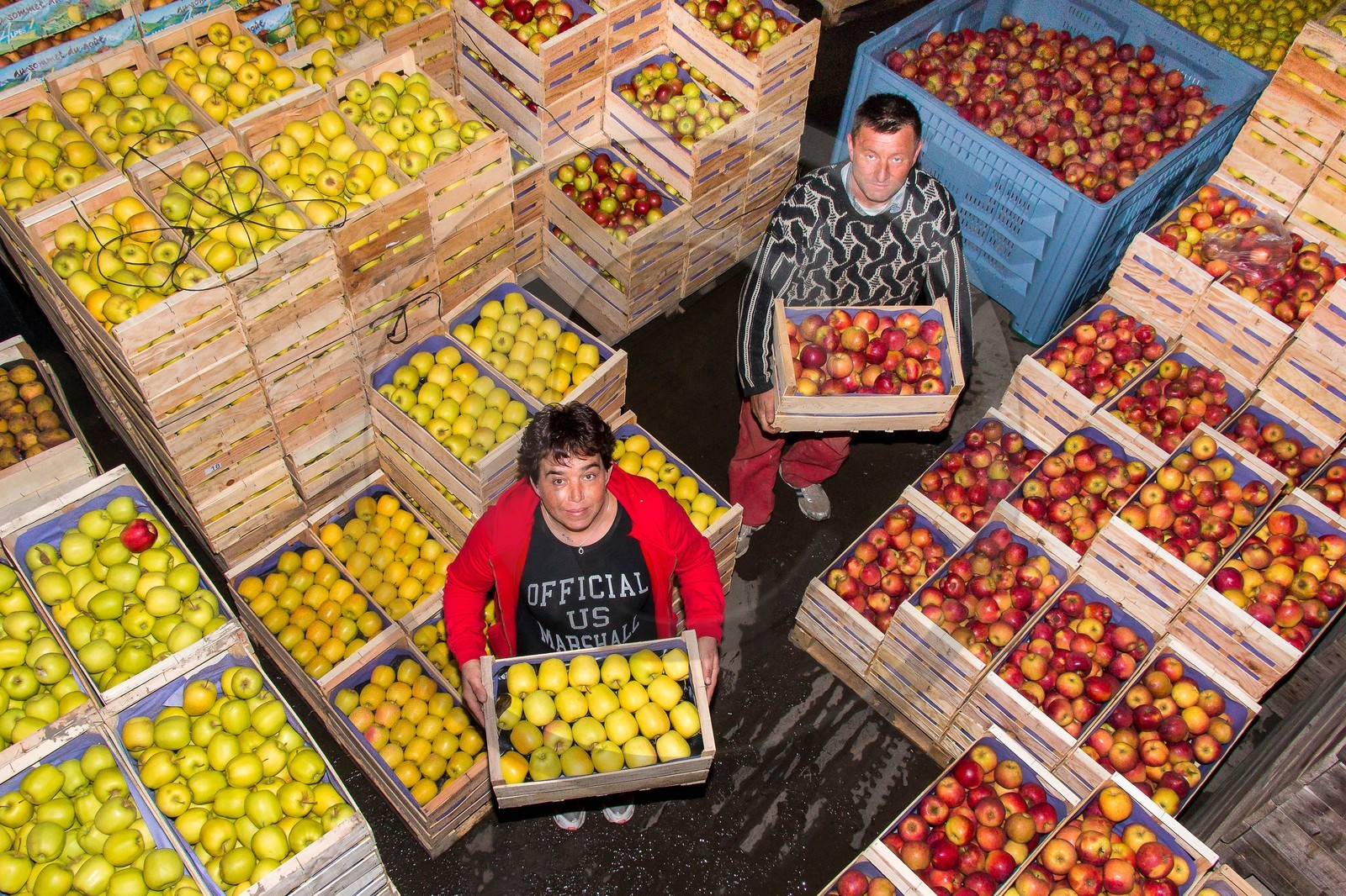 Noëlle et Franck Jacob, producteurs de fruits Noëlle et Franck Jacob, producteurs de fruits