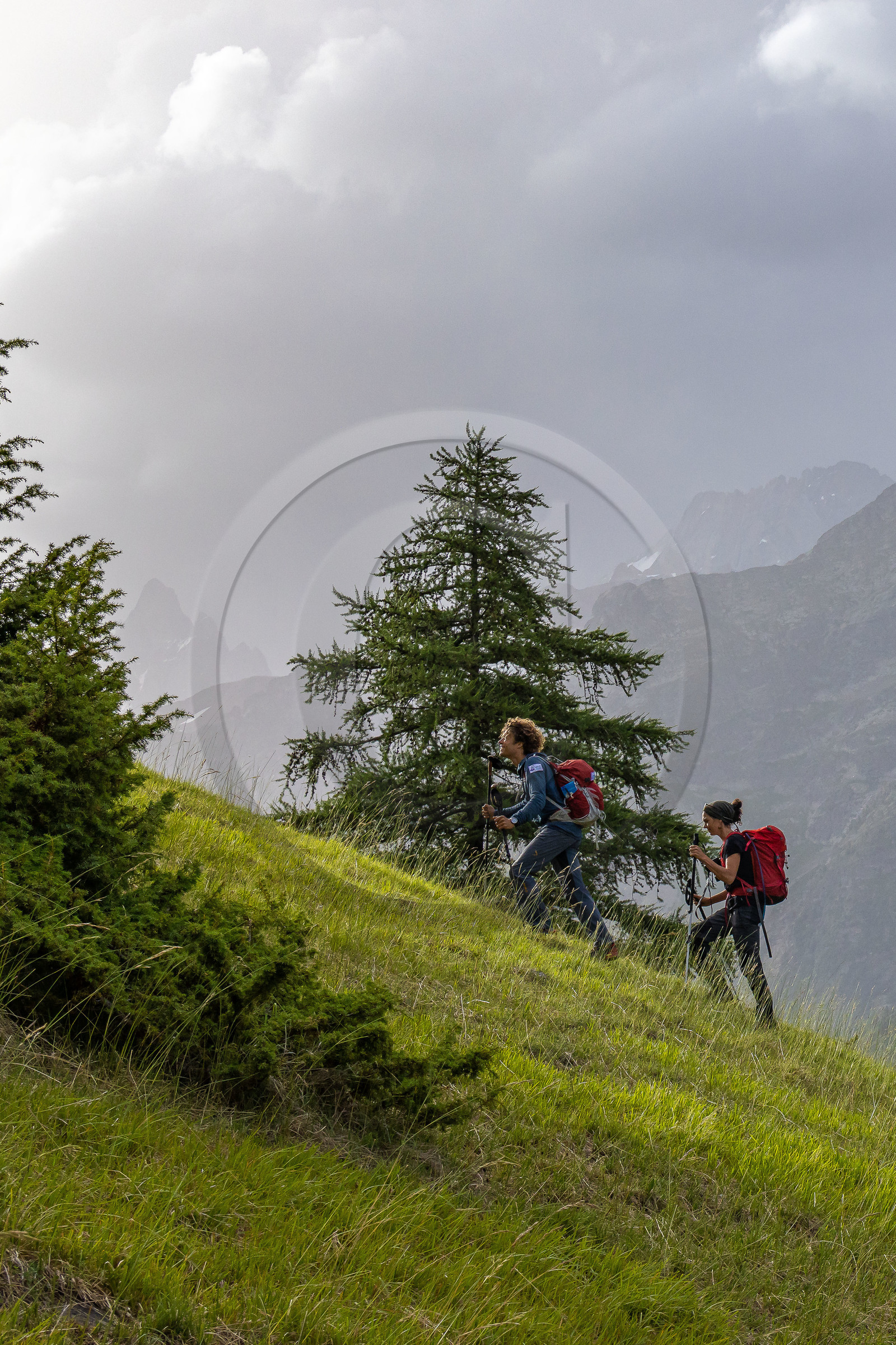 Terres de trek Terres de trek