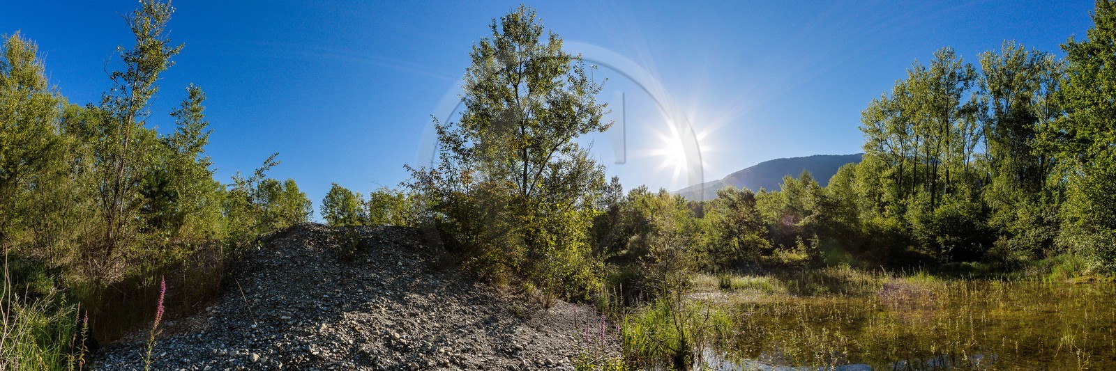 ENS de l'Isère, espace alluvial de la Rolande ENS de l'Isère, espace alluvial de la Rolande