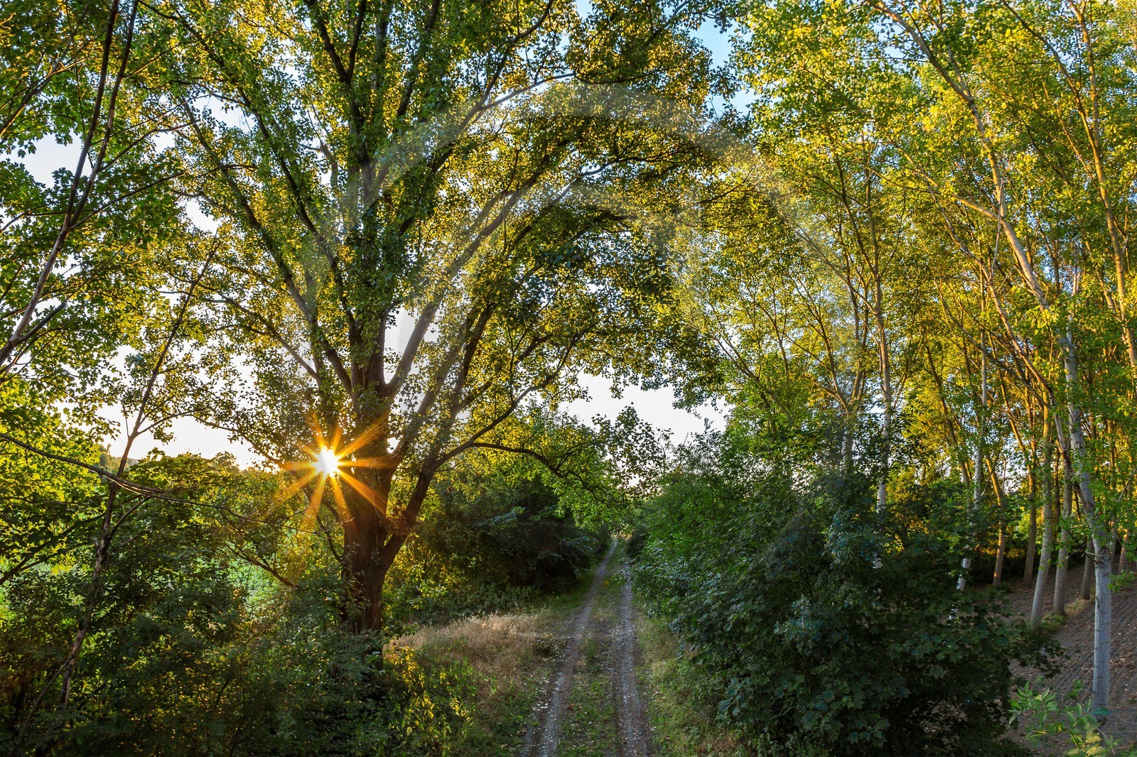 ENS de l'Isère, , le méandre des Oves ENS de l'Isère, , le méandre des Oves