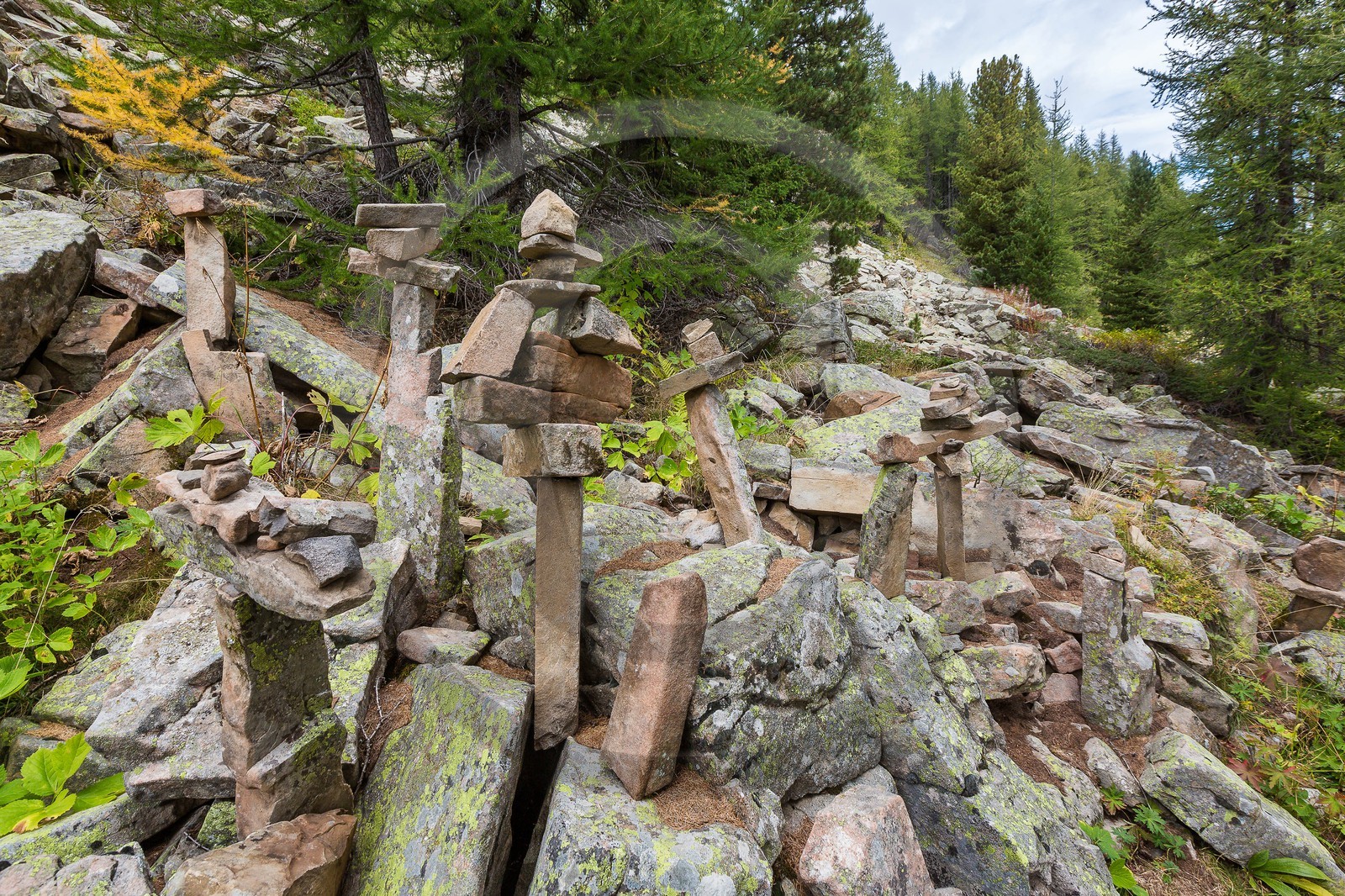 Ubaye, Vallon du Laverq Ubaye, Vallon du Laverq