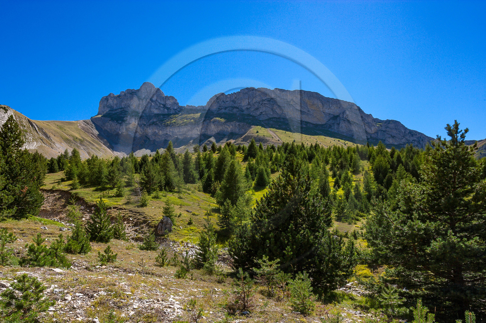 Col du Noyer