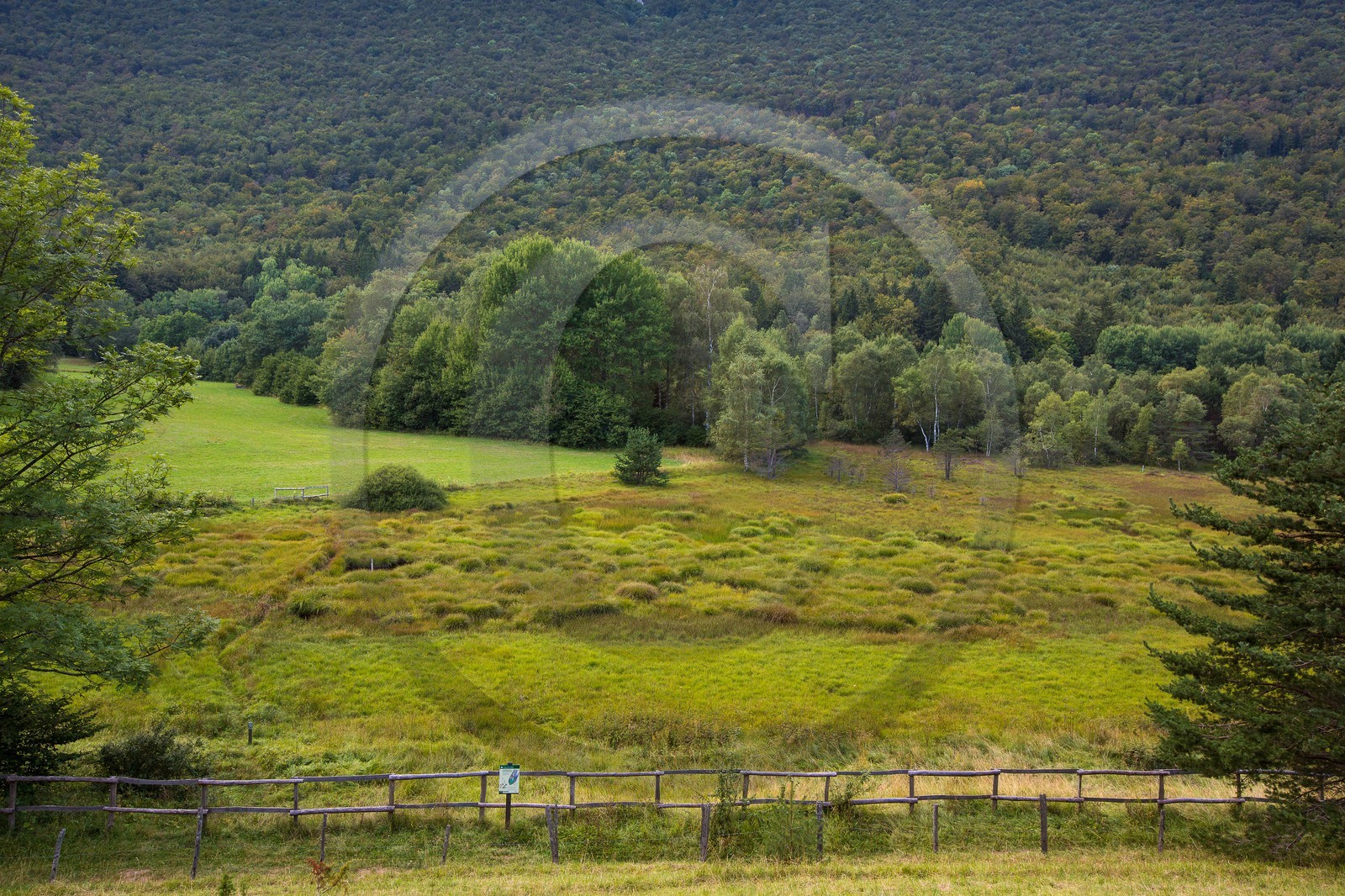 ENS de l'Isère,Tourbières du Peuil ENS de l'Isère,Tourbières du Peuil