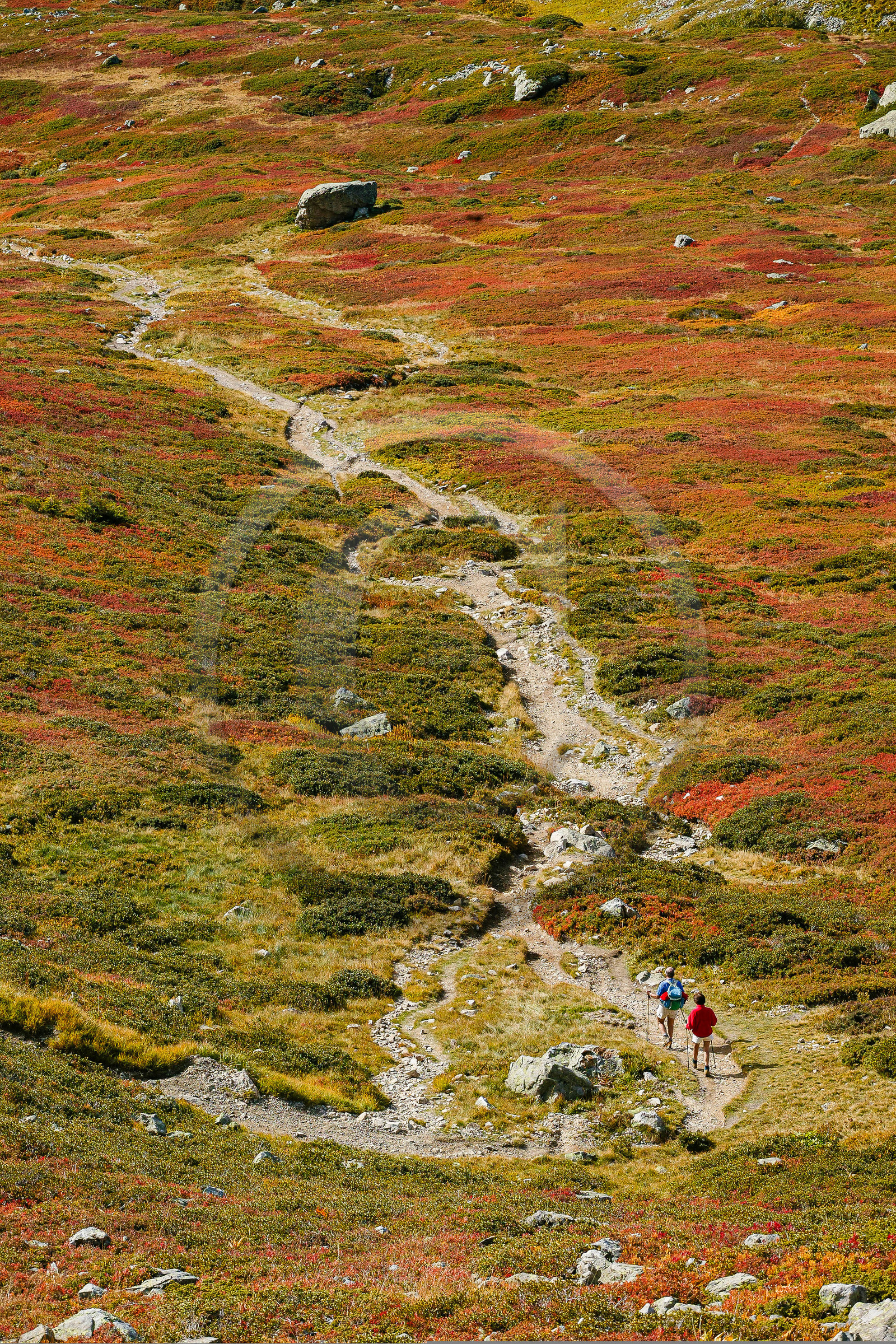 Randonnée pédestre sur le sentier des lacs Jovet