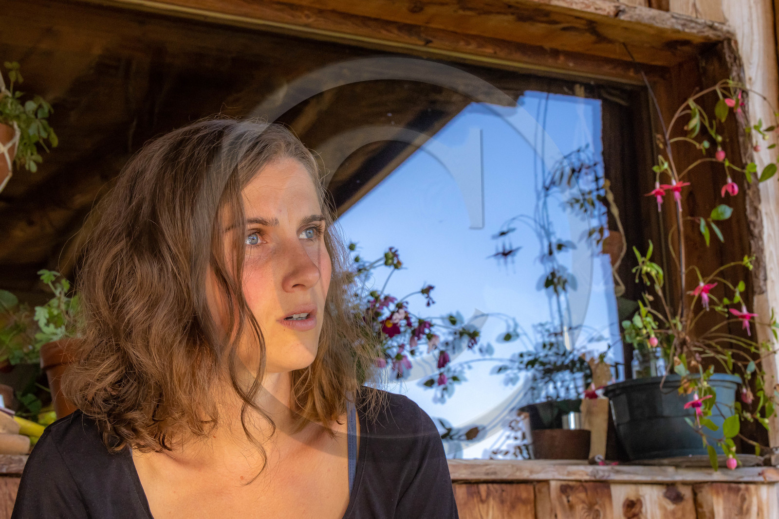 Le Pain de Coste Joffre, Claire Louise Le Pain de Coste Joffre, Claire Louise