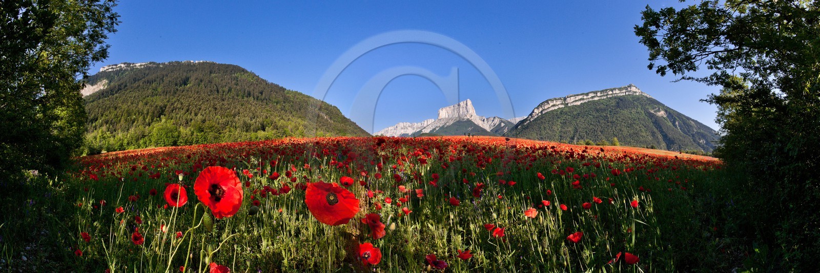 Trièves, le Mont-Aiguille Trièves, le Mont-Aiguille