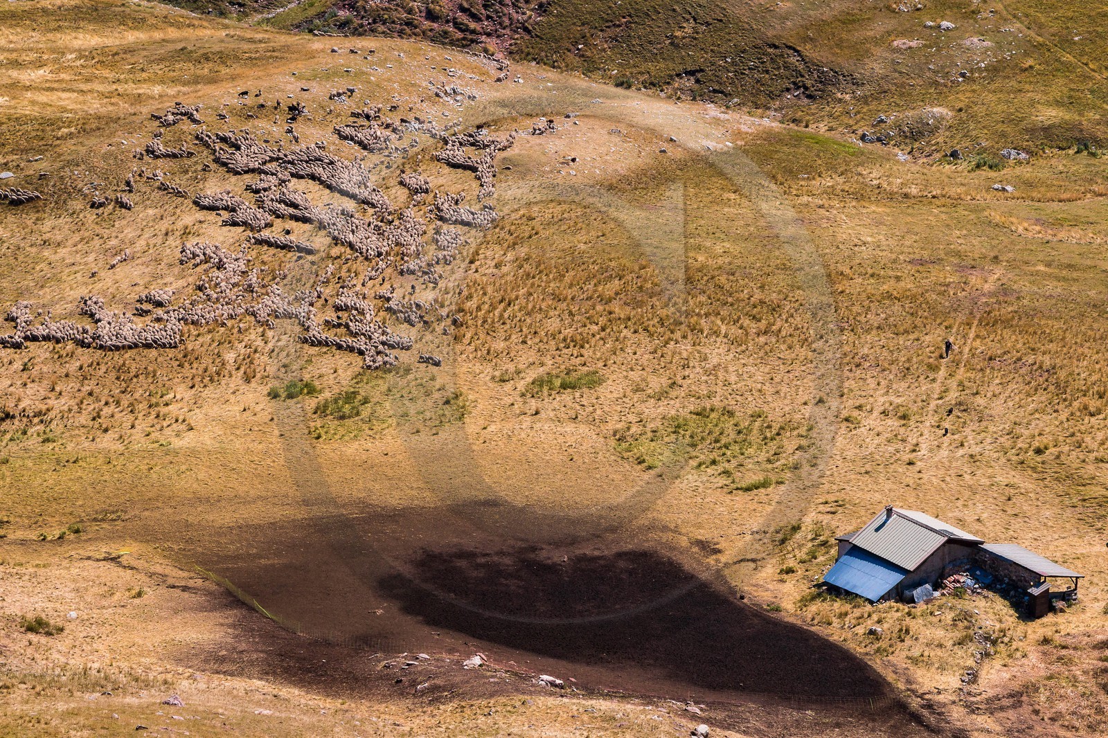Les Monges, paturage et cabane de Clapouse