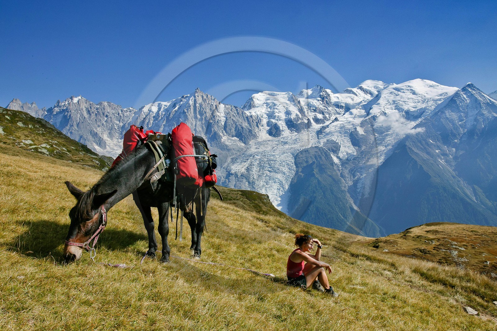 Réserve naturelle de Carlaveyron, col de Bellachat, randonnée avec portage par cheval Réserve naturelle de Carlaveyron, col de Bellachat, randonnée avec portage par cheval