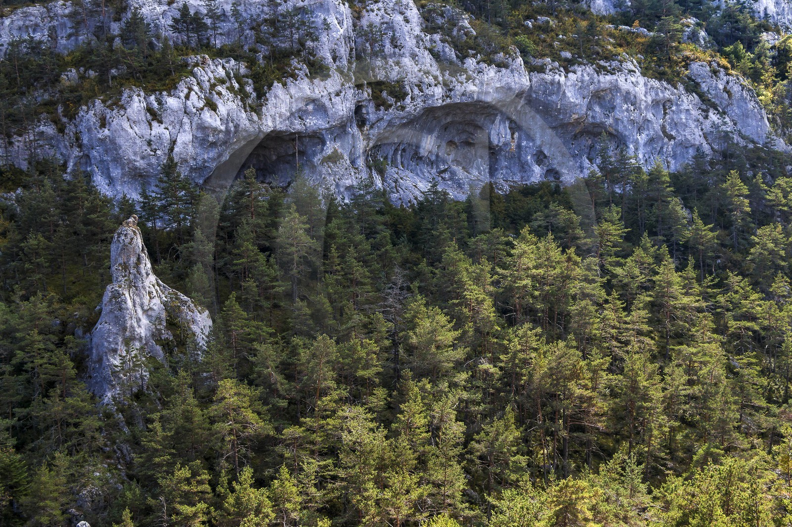 Gréolières Gréolières