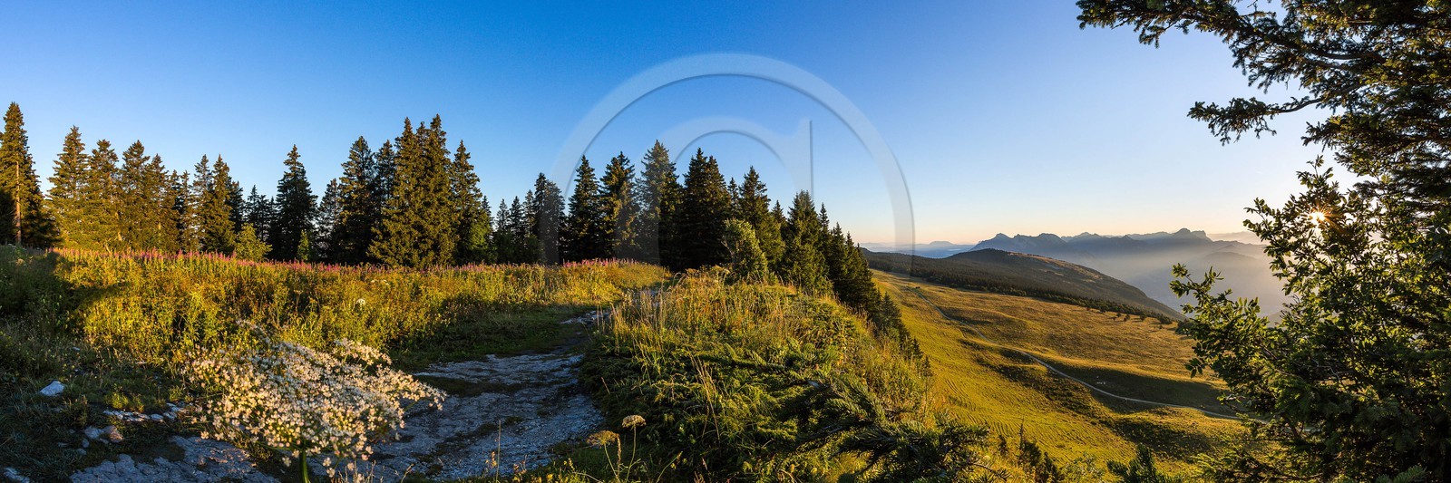 ENS de l'Isère, Plateau de la Molière et du Sornin