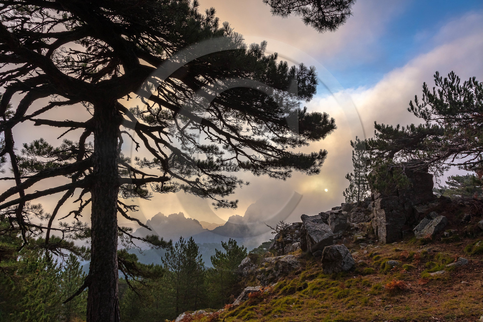 Les Aiguilles de Bavella (forchi di Bavedda ) Les Aiguilles de Bavella (forchi di Bavedda )