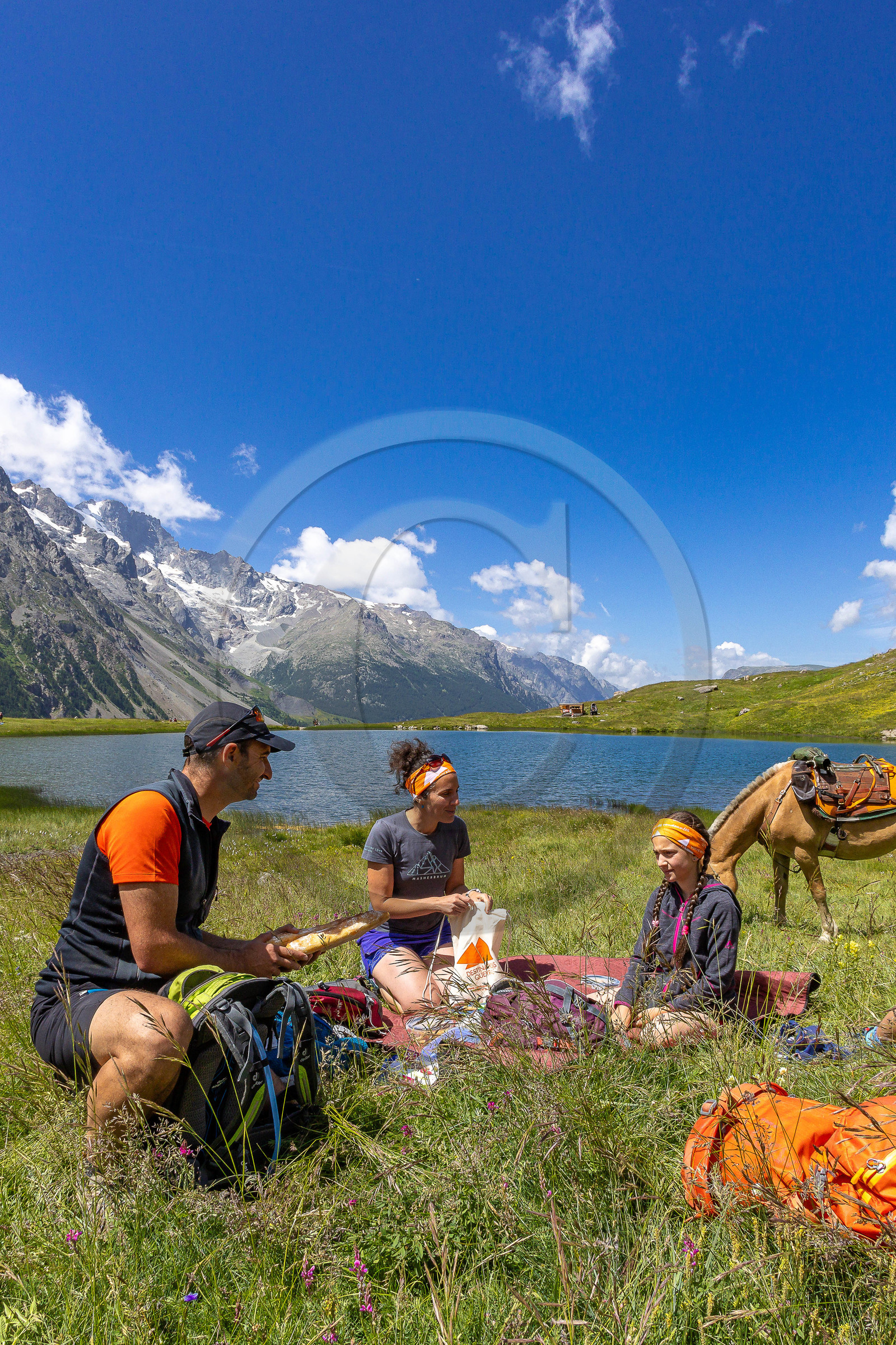 Trek famille avec animaux de bats Trek famille avec animaux de bats