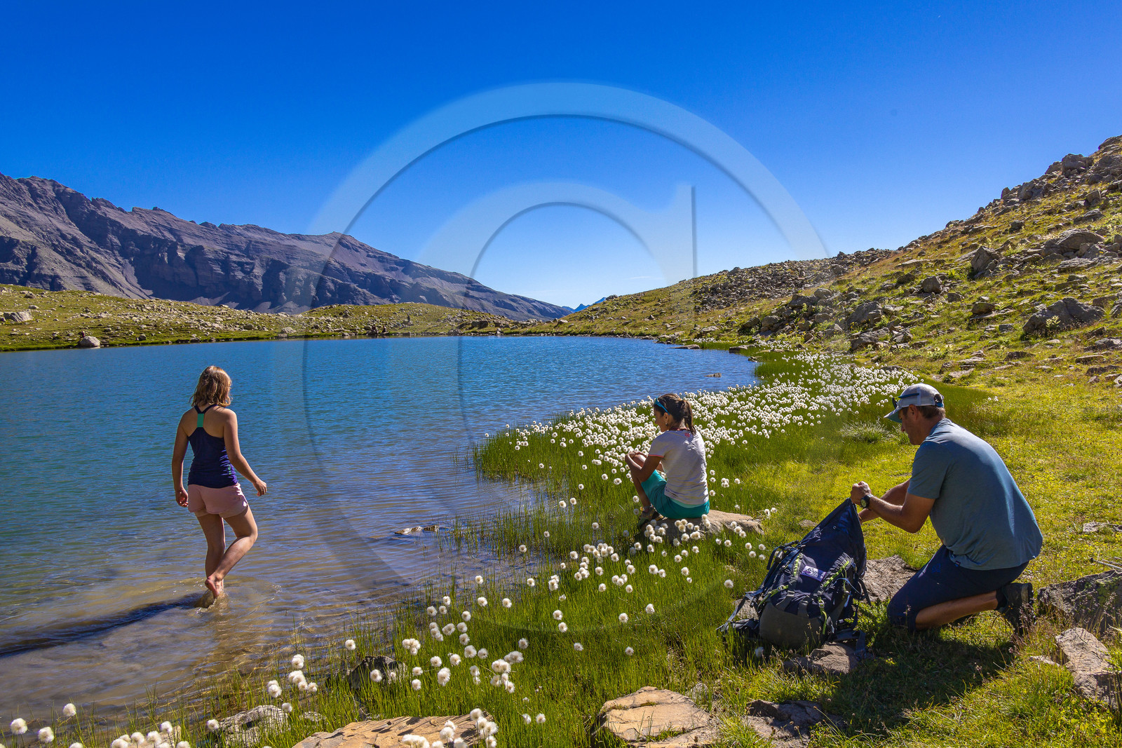 Lac Palluel