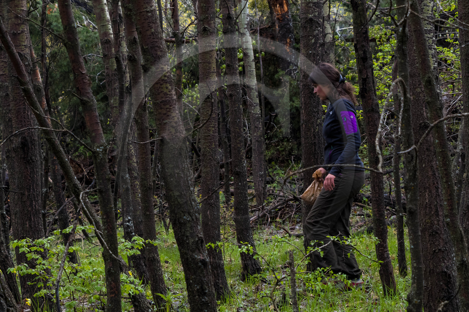 Sandrine Verdanet Sandrine Verdanet