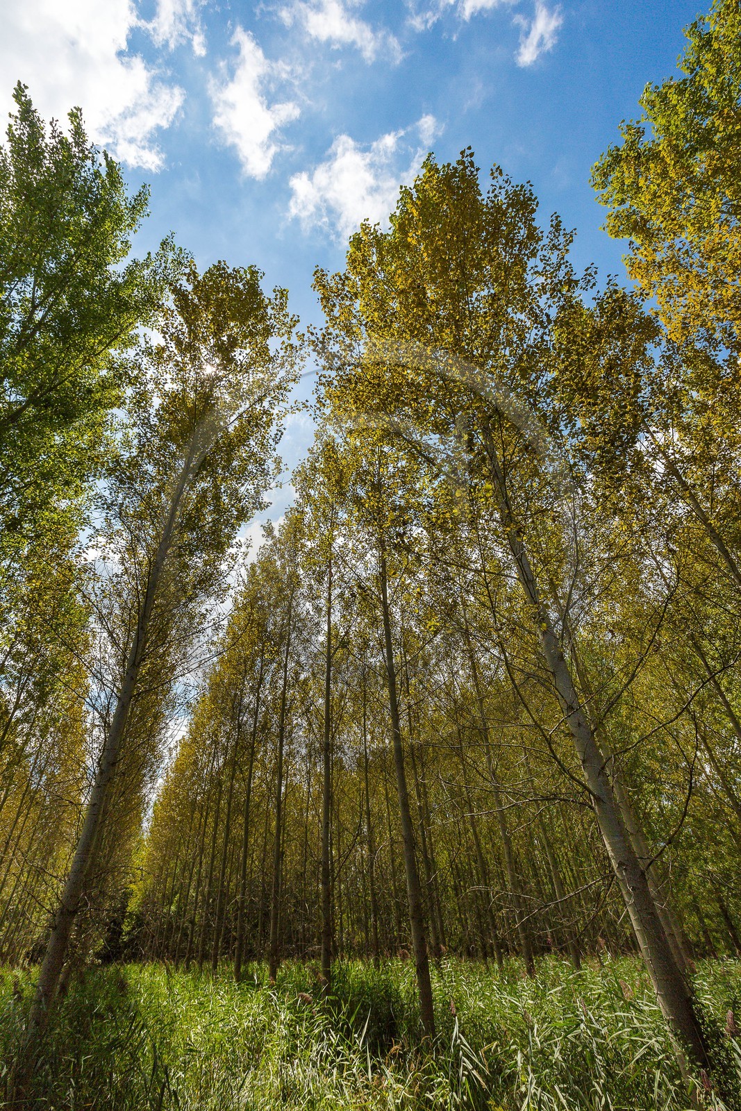 ENS de l'Isère, Boucle des Moïles ENS de l'Isère, Boucle des Moïles