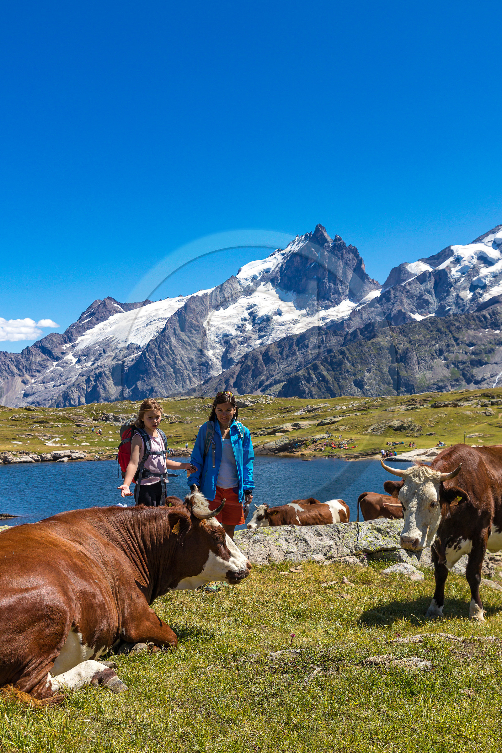 Plateau d'Emparis, randonnée pédestre Plateau d'Emparis, randonnée pédestre