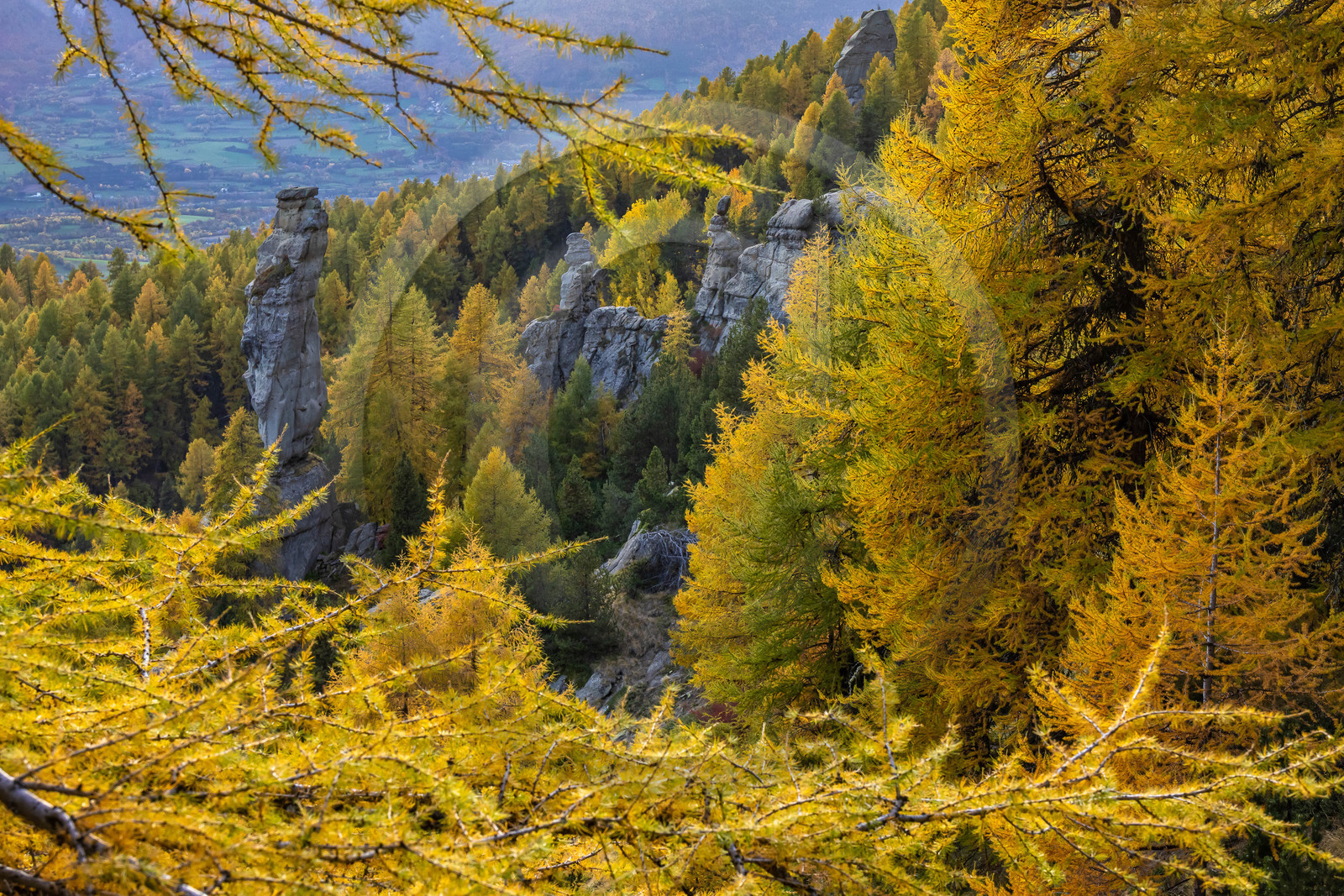 L'automne dans la Vallée du Champsaur L'automne dans la Vallée du Champsaur