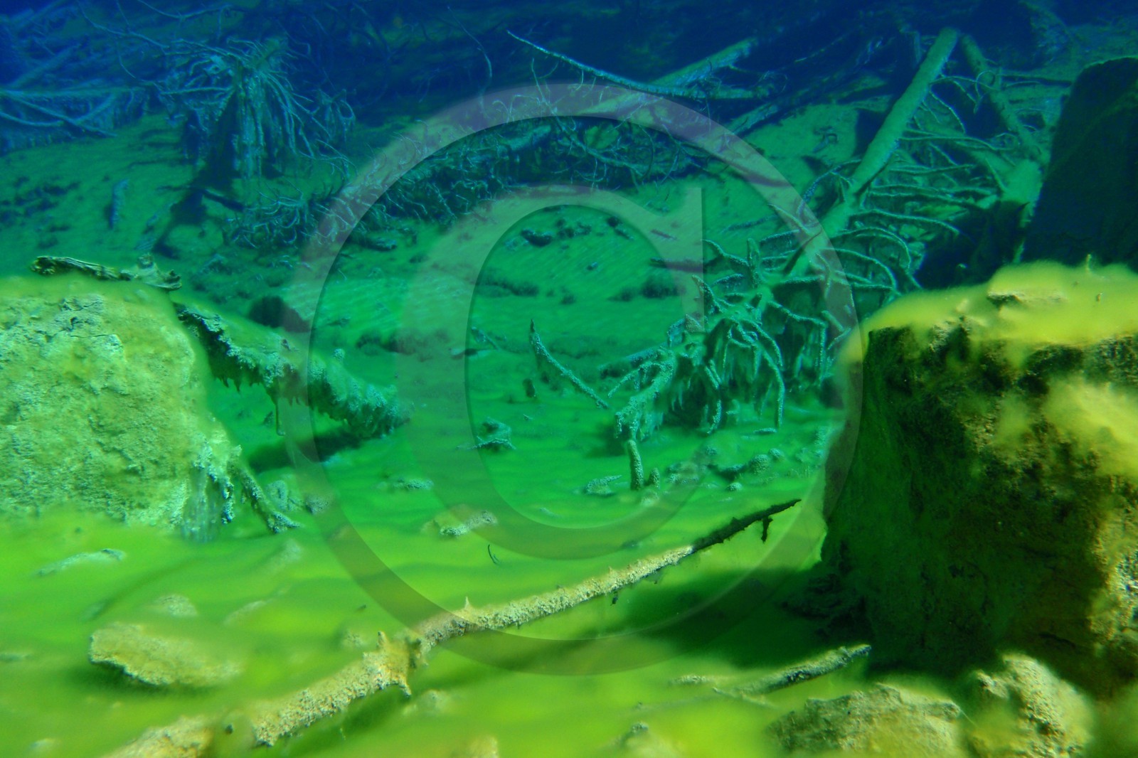 Lac Vert, vallée Etroite