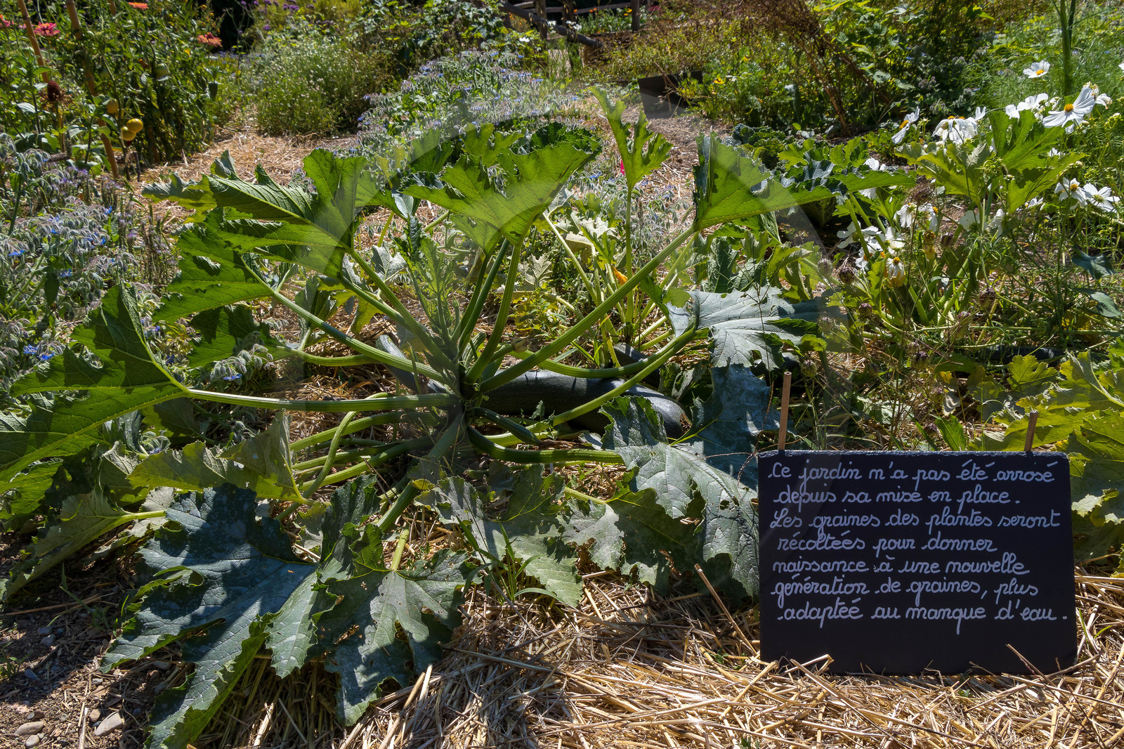 Parc écologique Terre Vivante Parc écologique Terre Vivante