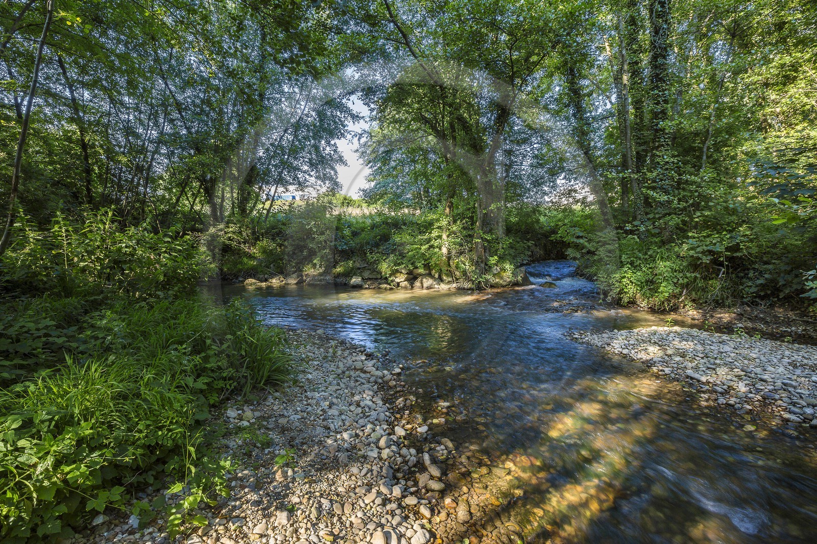 ENS de l'Isère, Zone humide de la Merlière