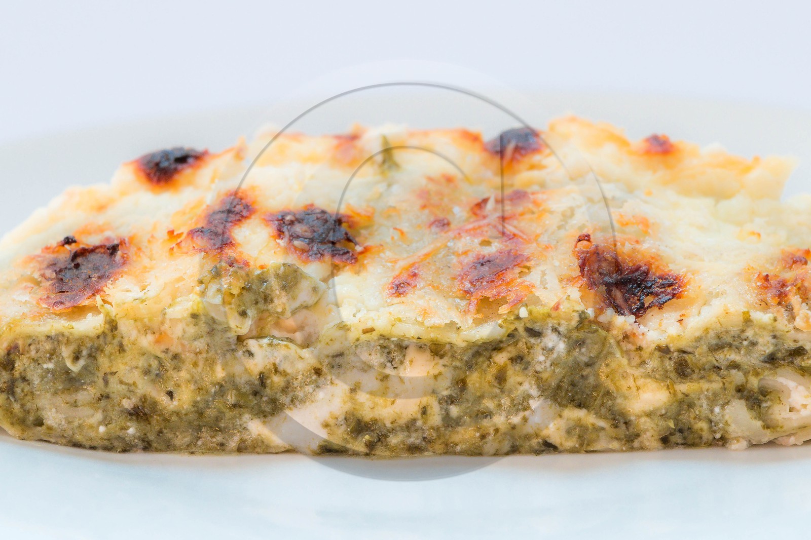 Le Champ d'Or, gratin d'oreilles d'ânes