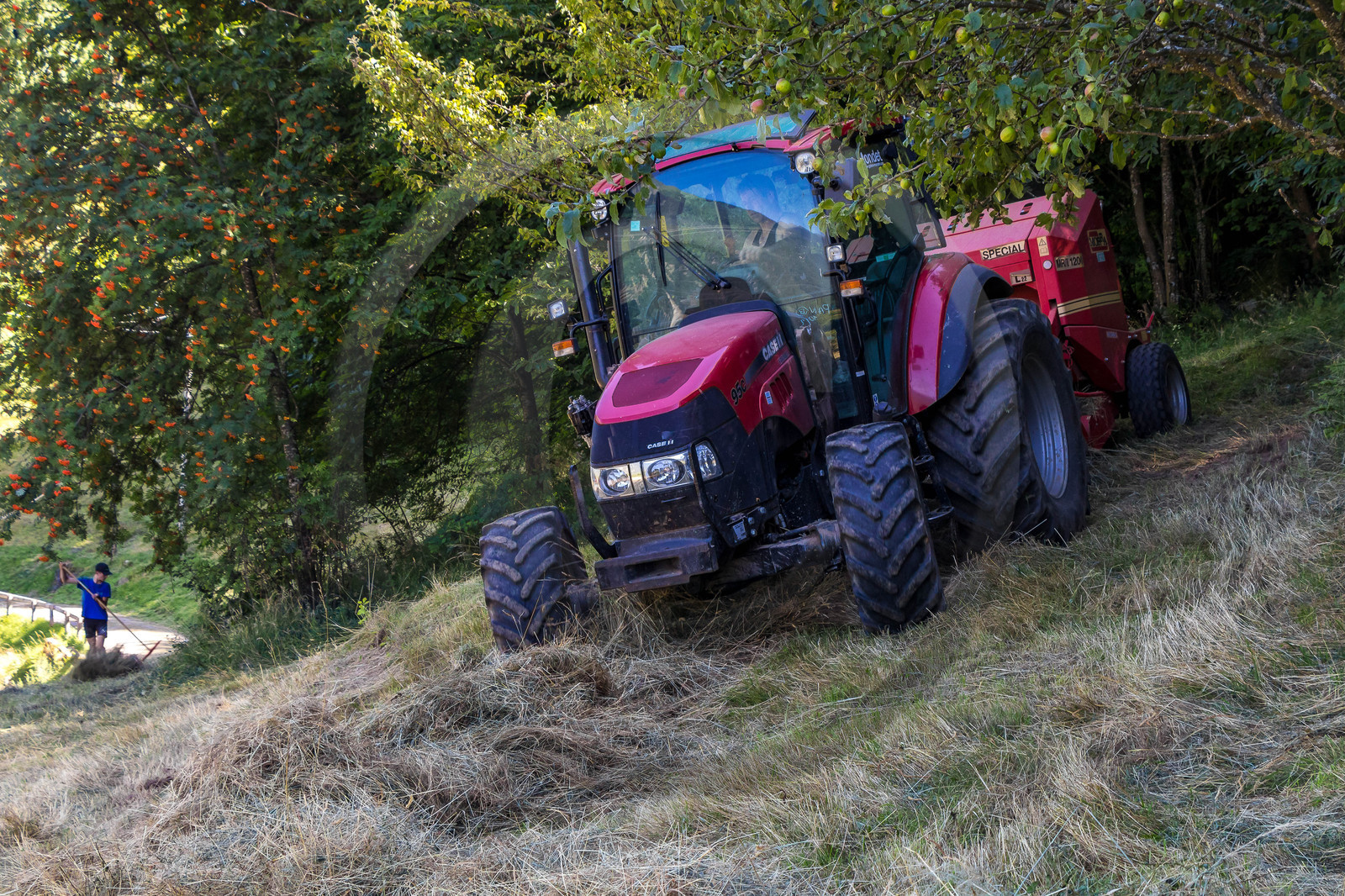 Gaec La chèvrerie des Combettes