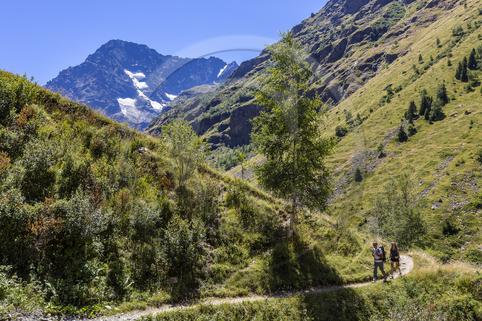 Randonnée pédestre