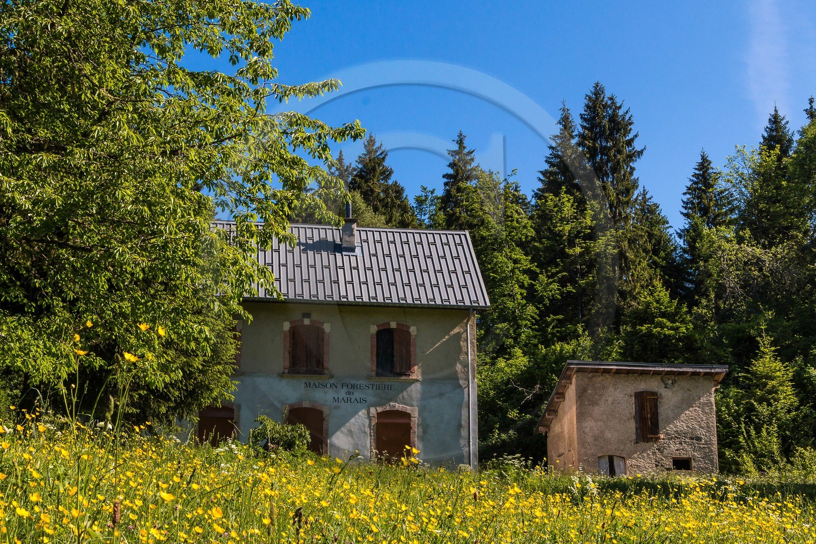ENS de l'Isère, Marais des Seiglières
