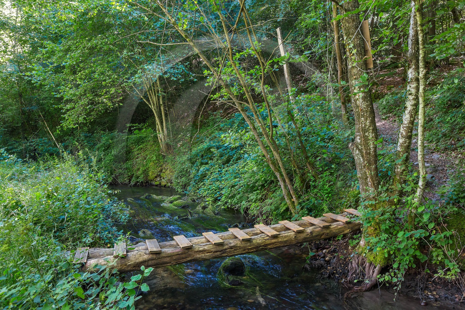 ENS de l'Isère, étang de Cote Manin ENS de l'Isère, étang de Cote Manin