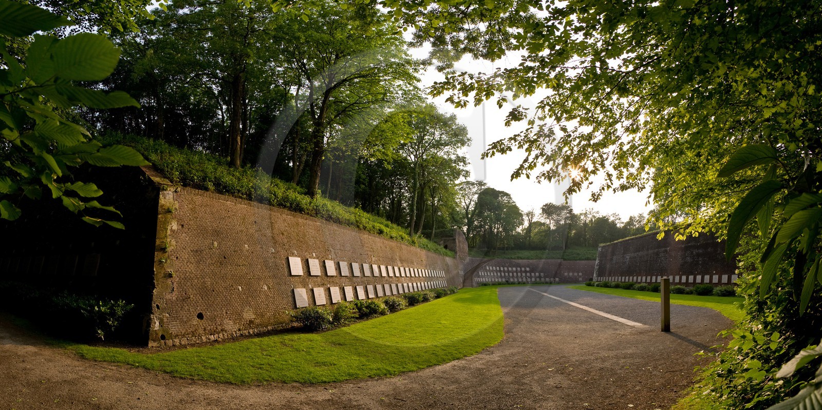 Arras