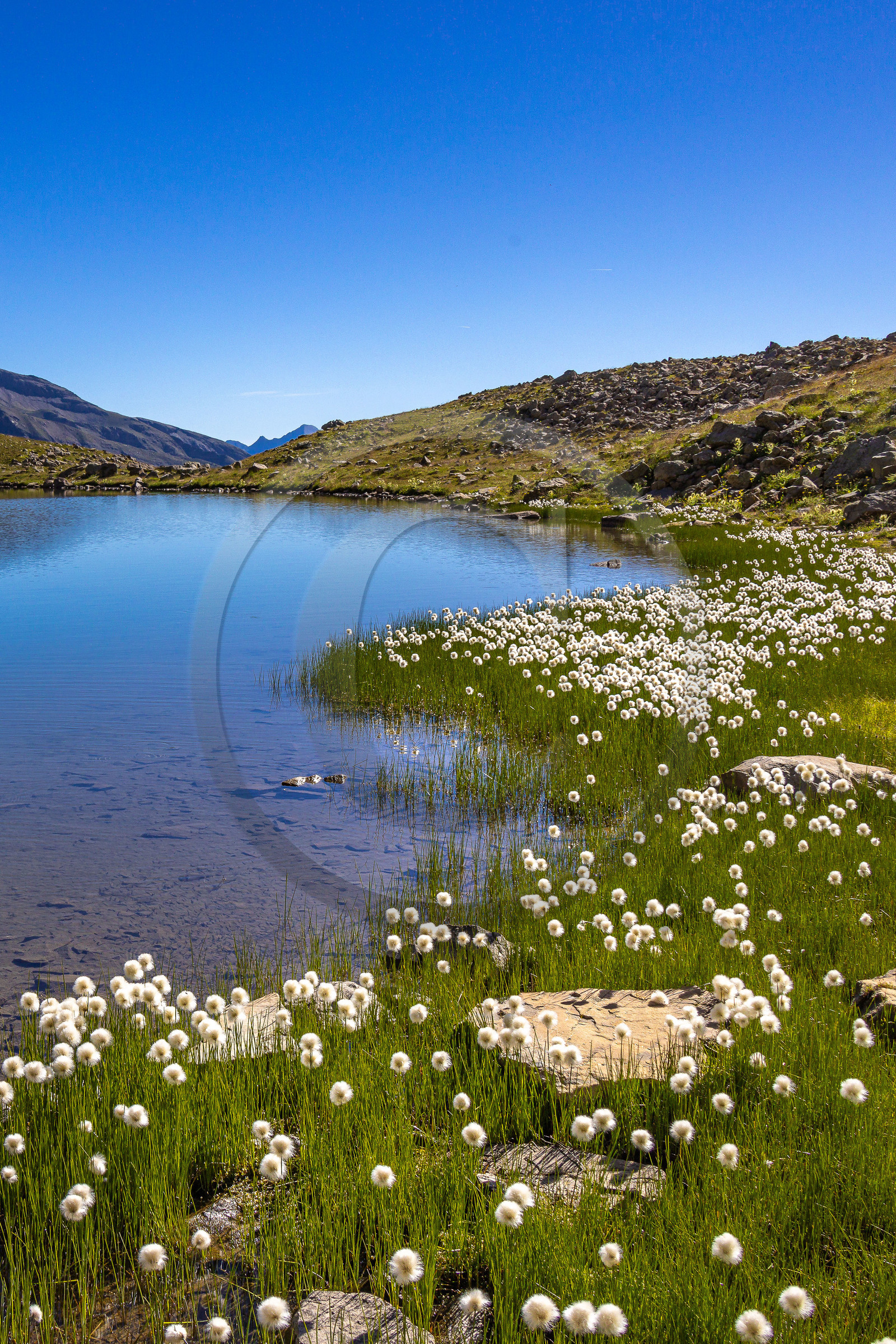 Lac Palluel Lac Palluel