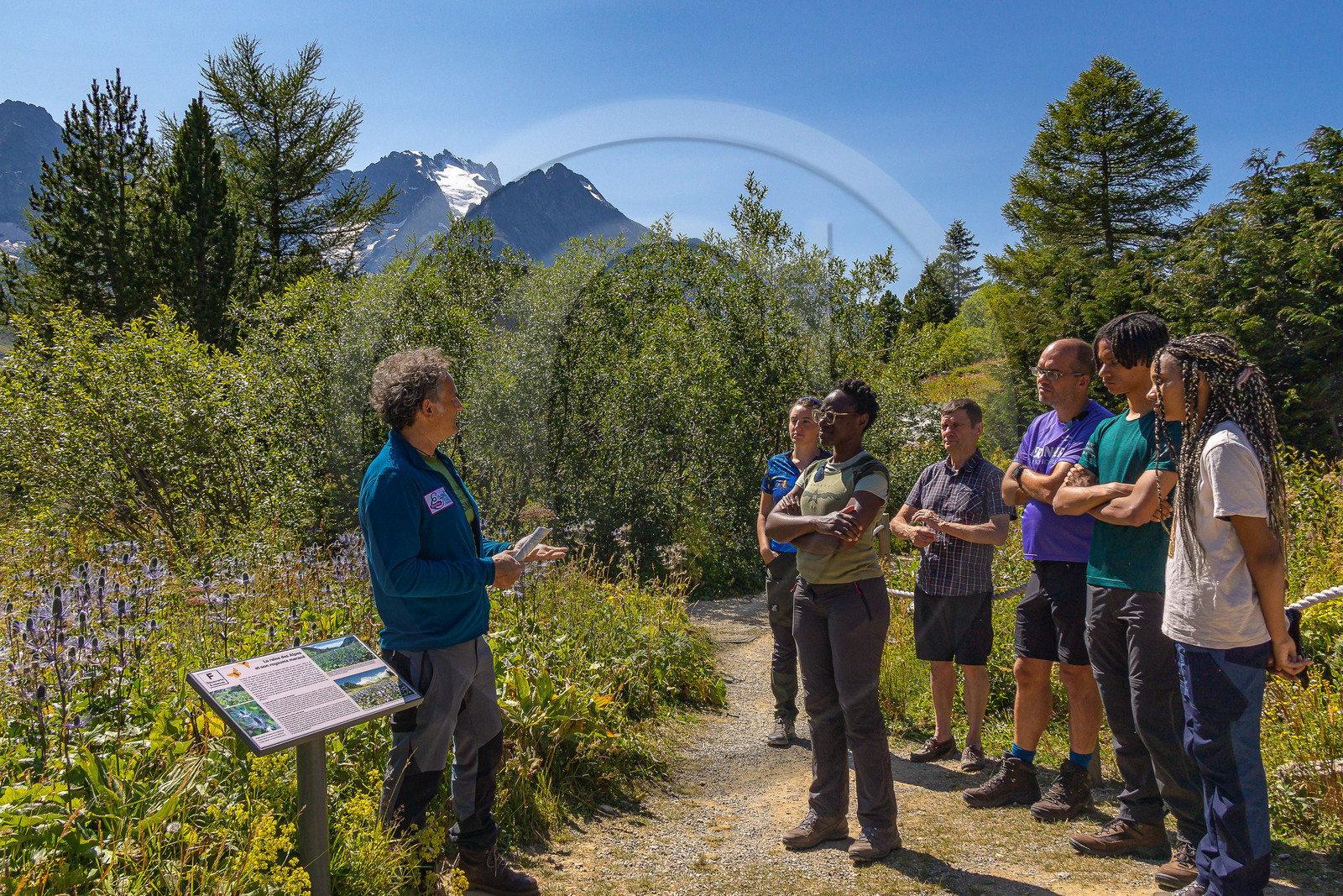 Jardin alpin du Lautaret