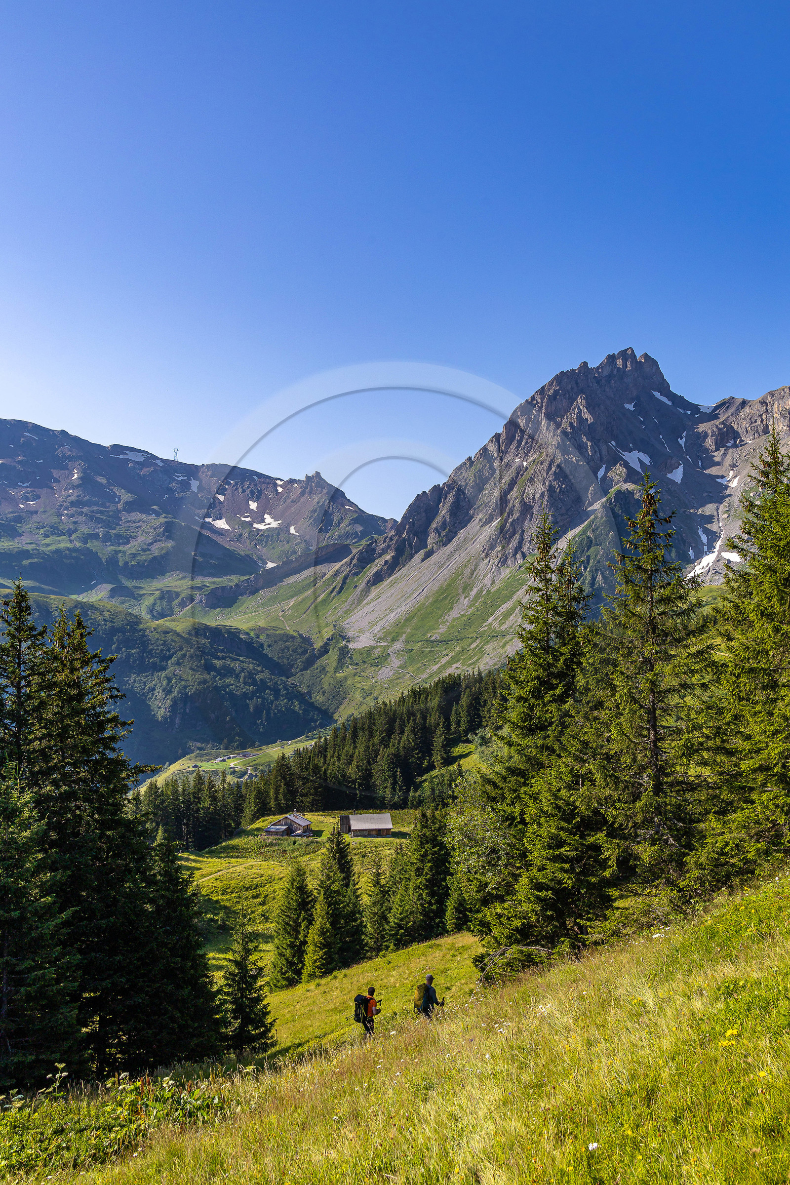 Réserve Naturelle des Contamines-Montjoie, randonnée pédestre Réserve Naturelle des Contamines-Montjoie, randonnée pédestre