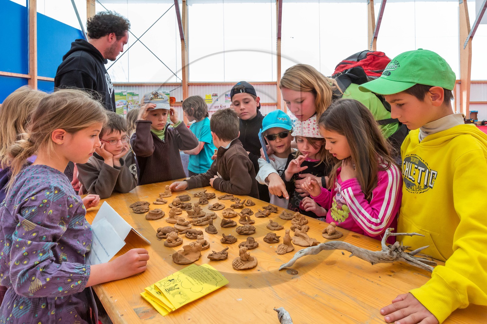 Festival des montagnes d'énergies Festival des montagnes d'énergies
