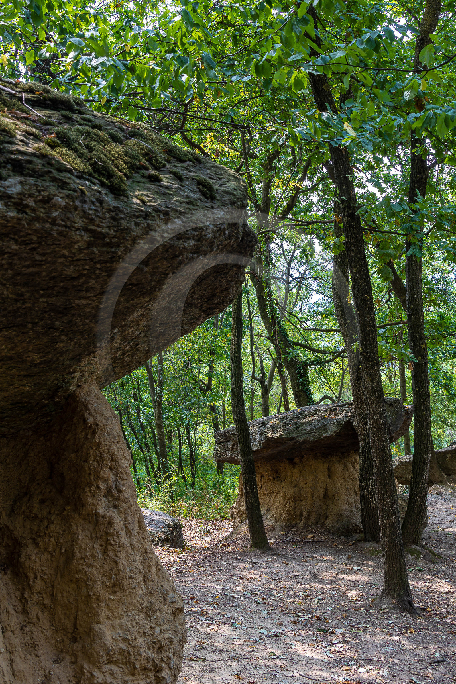 Valle Maira, Villar San Costanzo, Riserva Naturale Ciciu del Villar Valle Maira, Villar San Costanzo, Riserva Naturale Ciciu del Villar