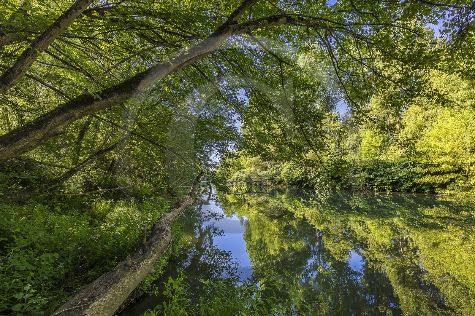 ENS de l'Isère, , le méandre des Oves ENS de l'Isère, , le méandre des Oves