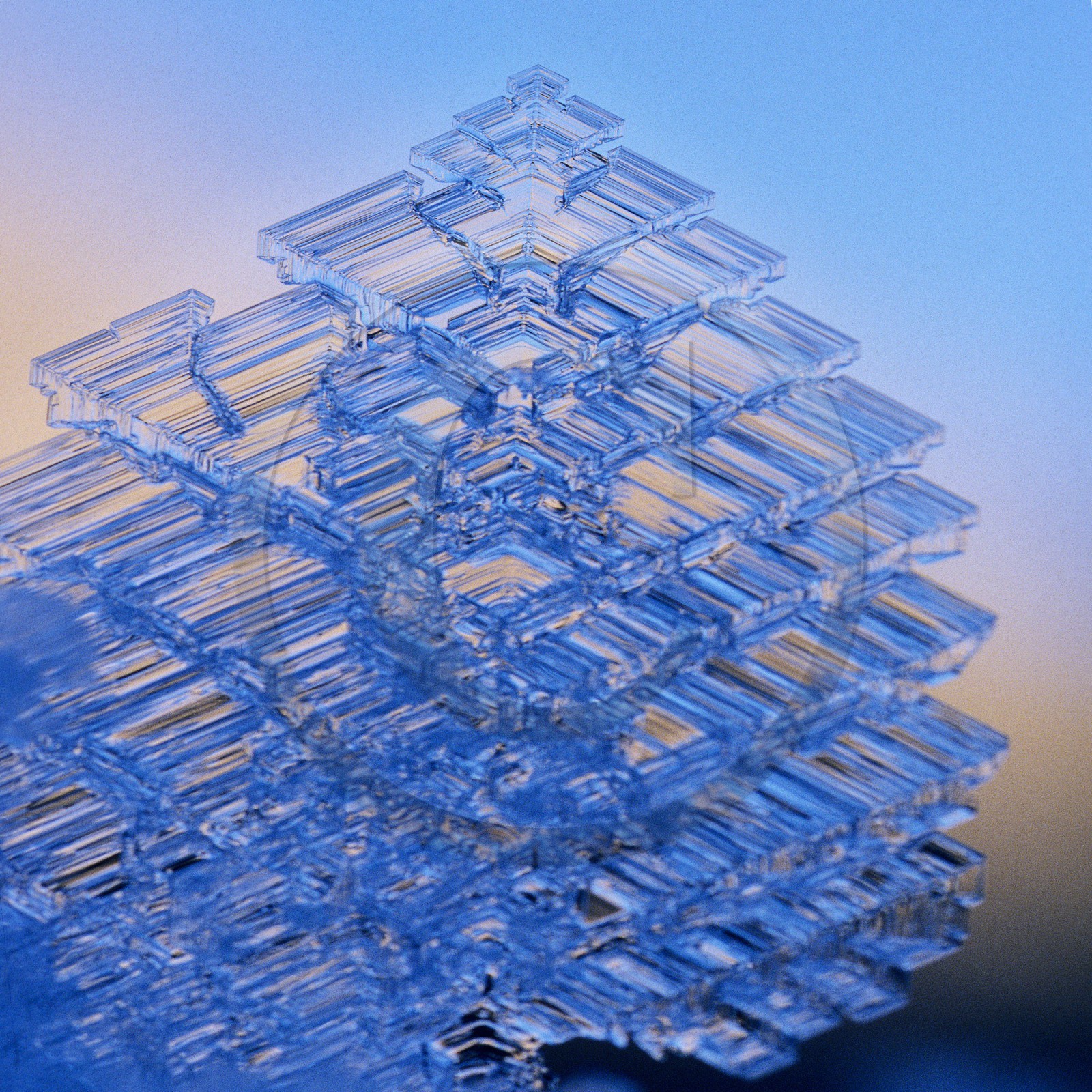 Délices de gel