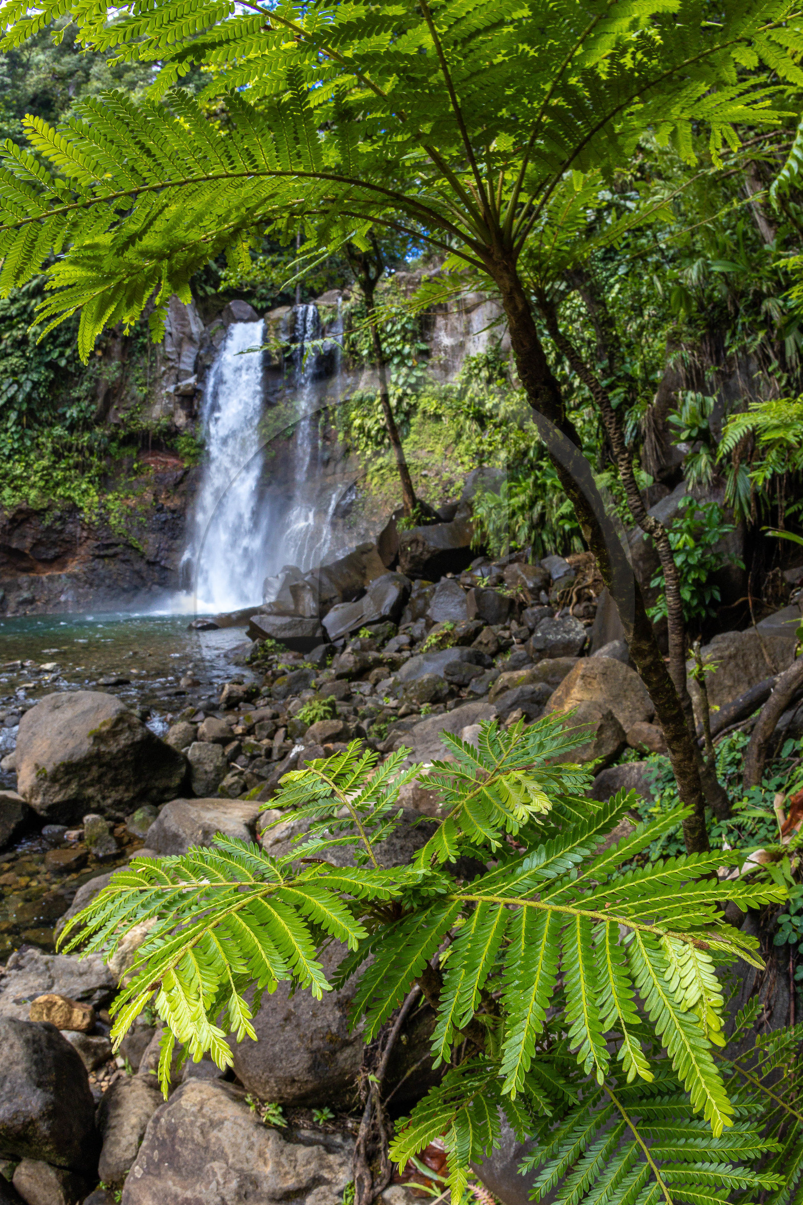 Chute du Carbet, Parc national de la Guadeloupe Chute du Carbet, Parc national de la Guadeloupe