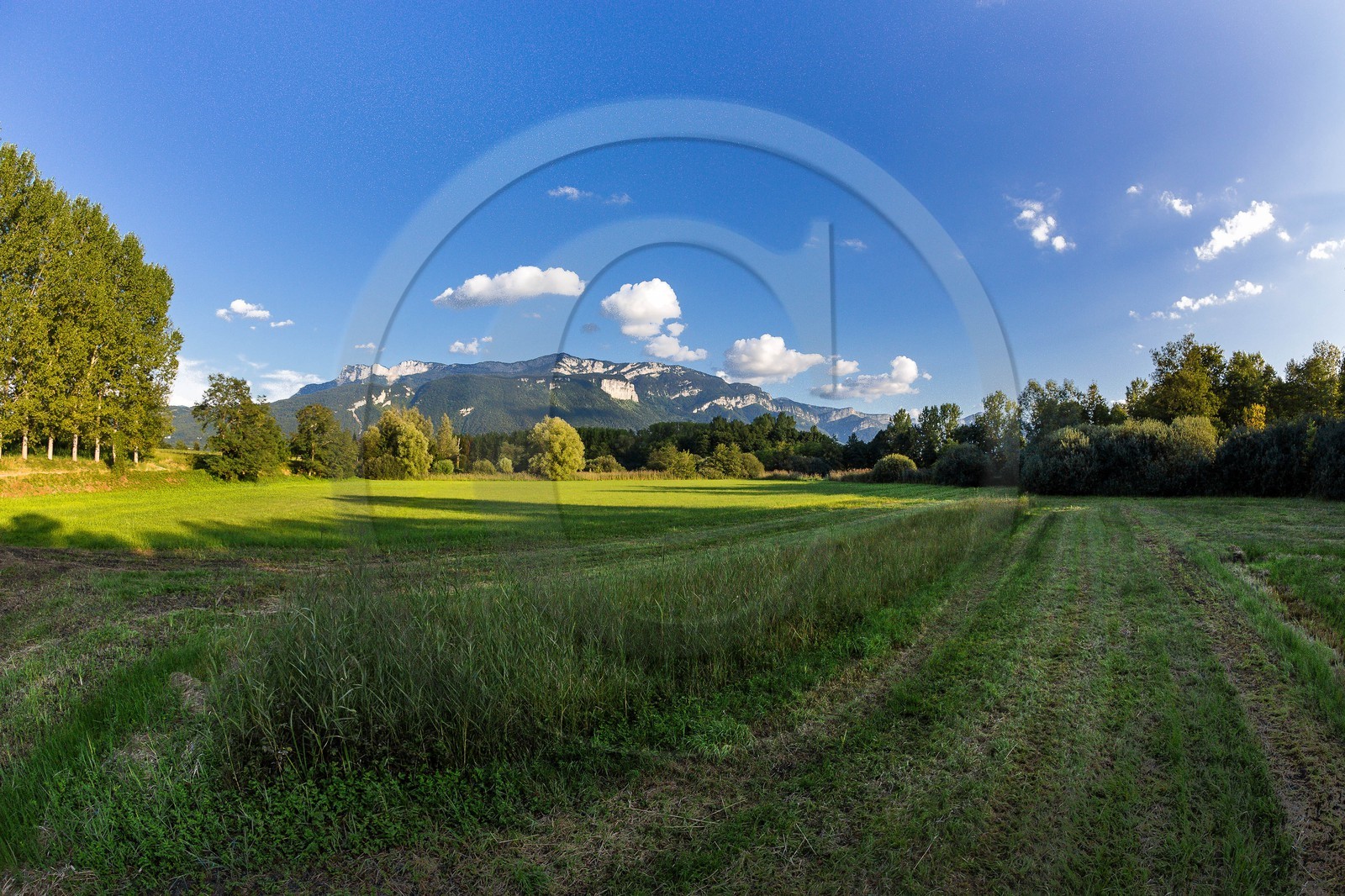 ENS de l'Isère, Boucle des Moïles