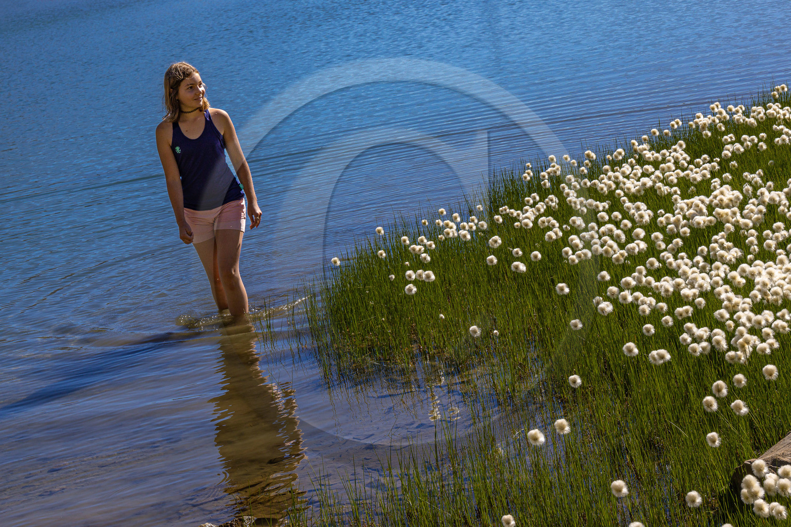 Lac Palluel Lac Palluel