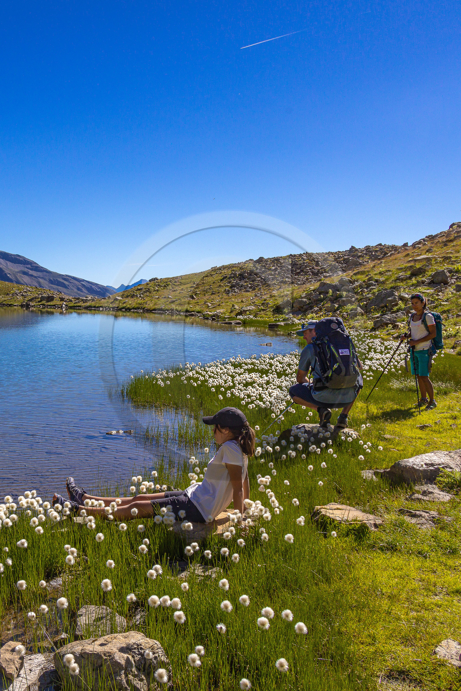 Lac Palluel