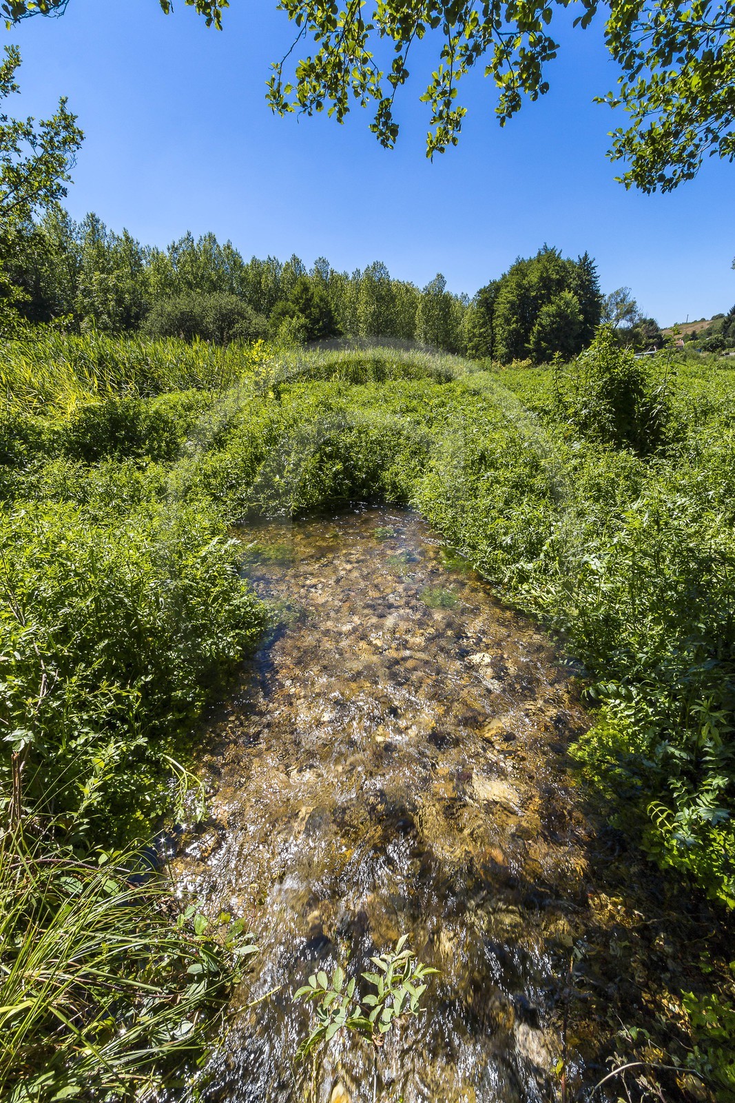 ENS de l'Isère, Les Fontaines de Beaufort ENS de l'Isère, Les Fontaines de Beaufort